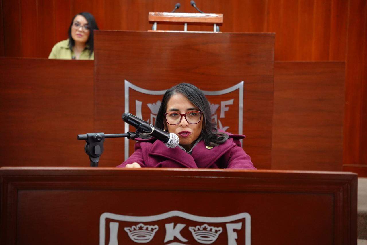 Presenta Gabriela Hernández exhorto para ampliar espacios de estacionamiento para personas con discapacidad y movilidad limitada